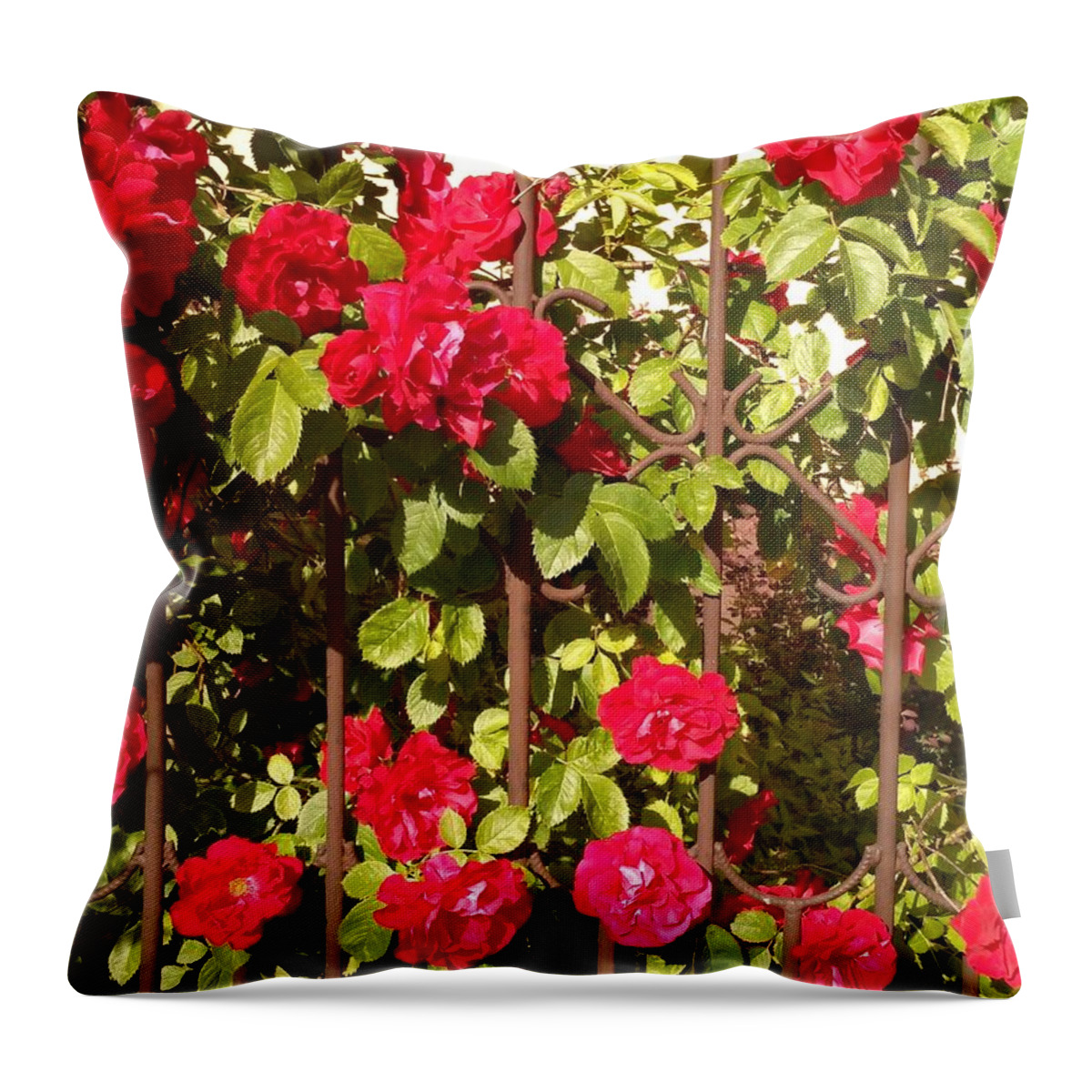 Rose Throw Pillow featuring the photograph Red roses in summertime by Arletta Cwalina
