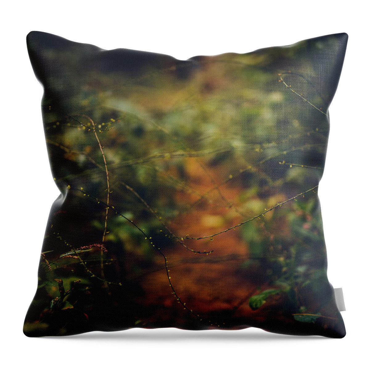 Forest Throw Pillow featuring the photograph Red Rover Red Rover by Shane Holsclaw