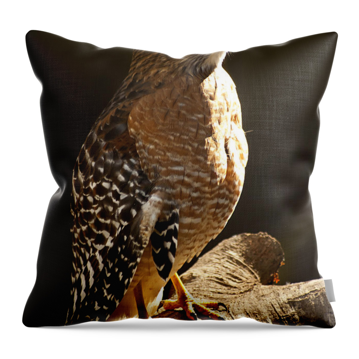 Red-shouldered Hawk Throw Pillow featuring the photograph Red-Shouldered Hawk by Carolyn Marshall