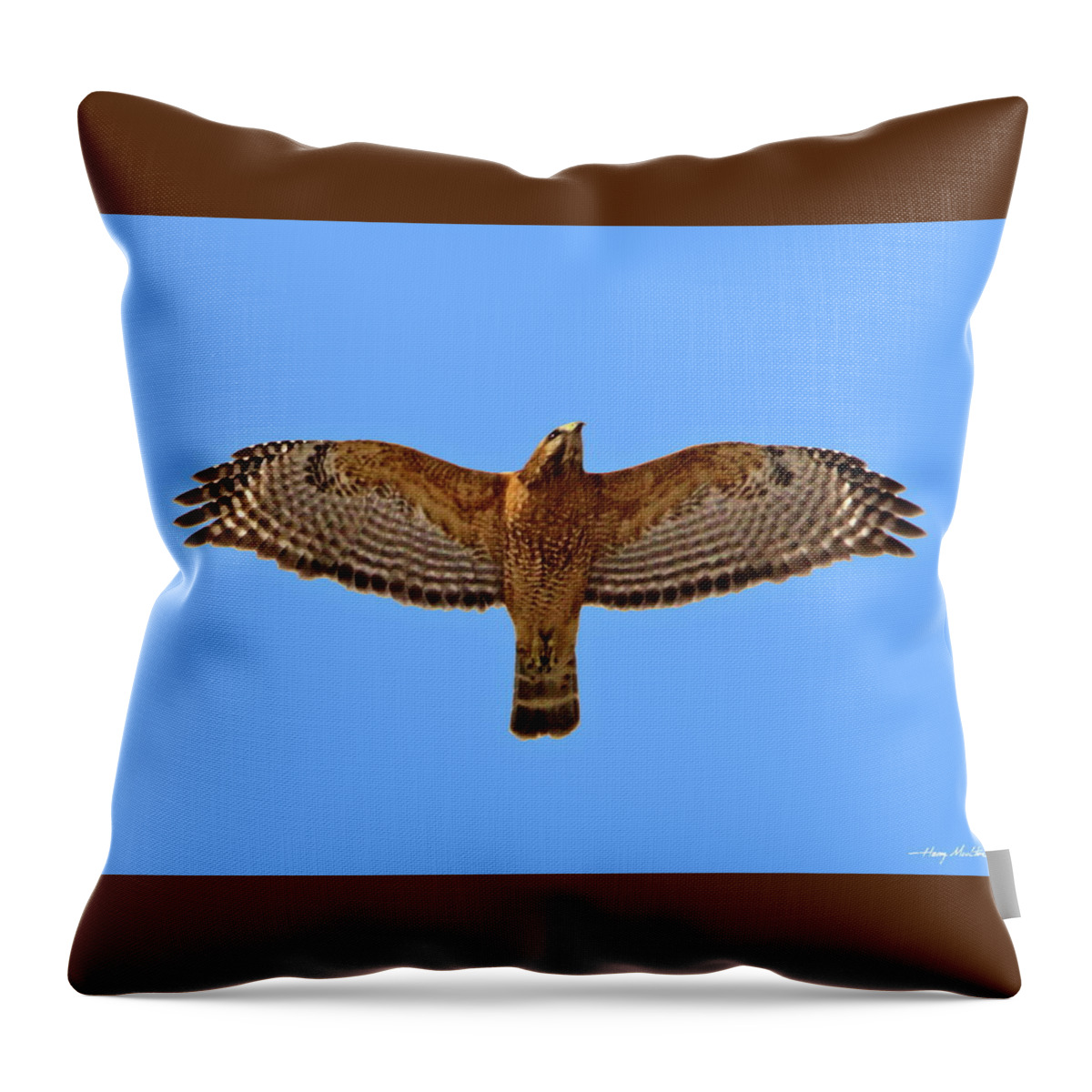 Birds Throw Pillow featuring the pyrography Red-shouldered Hawk by Harry Moulton