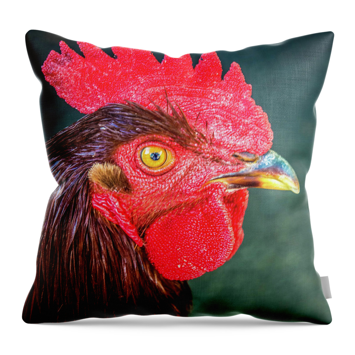 Rooster Throw Pillow featuring the photograph Red by Steph Gabler