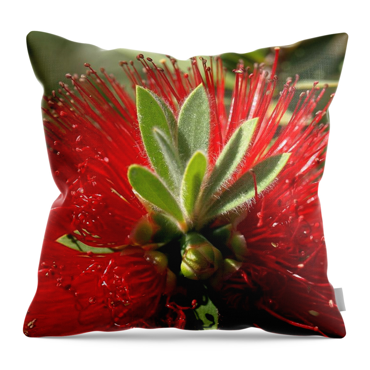 Red Throw Pillow featuring the photograph Red Surprise by Steven Robiner