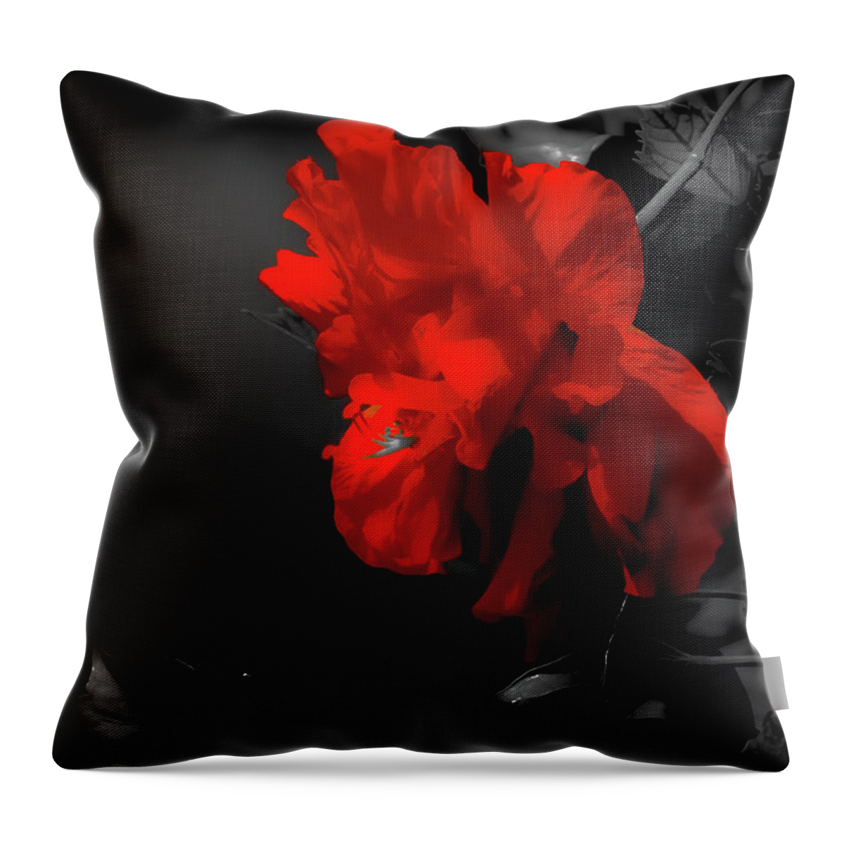Hibiscus Throw Pillow featuring the photograph Red Surrounded by Black by DigiArt Diaries by Vicky B Fuller