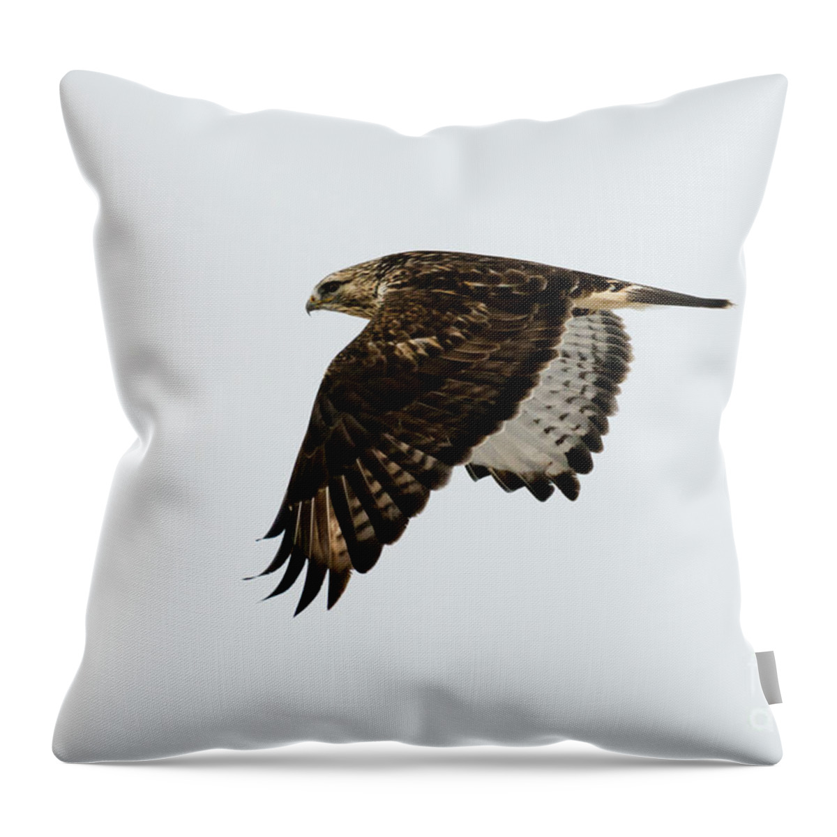 Hawk Throw Pillow featuring the photograph Red-Tail Wings Down by Michael Dawson