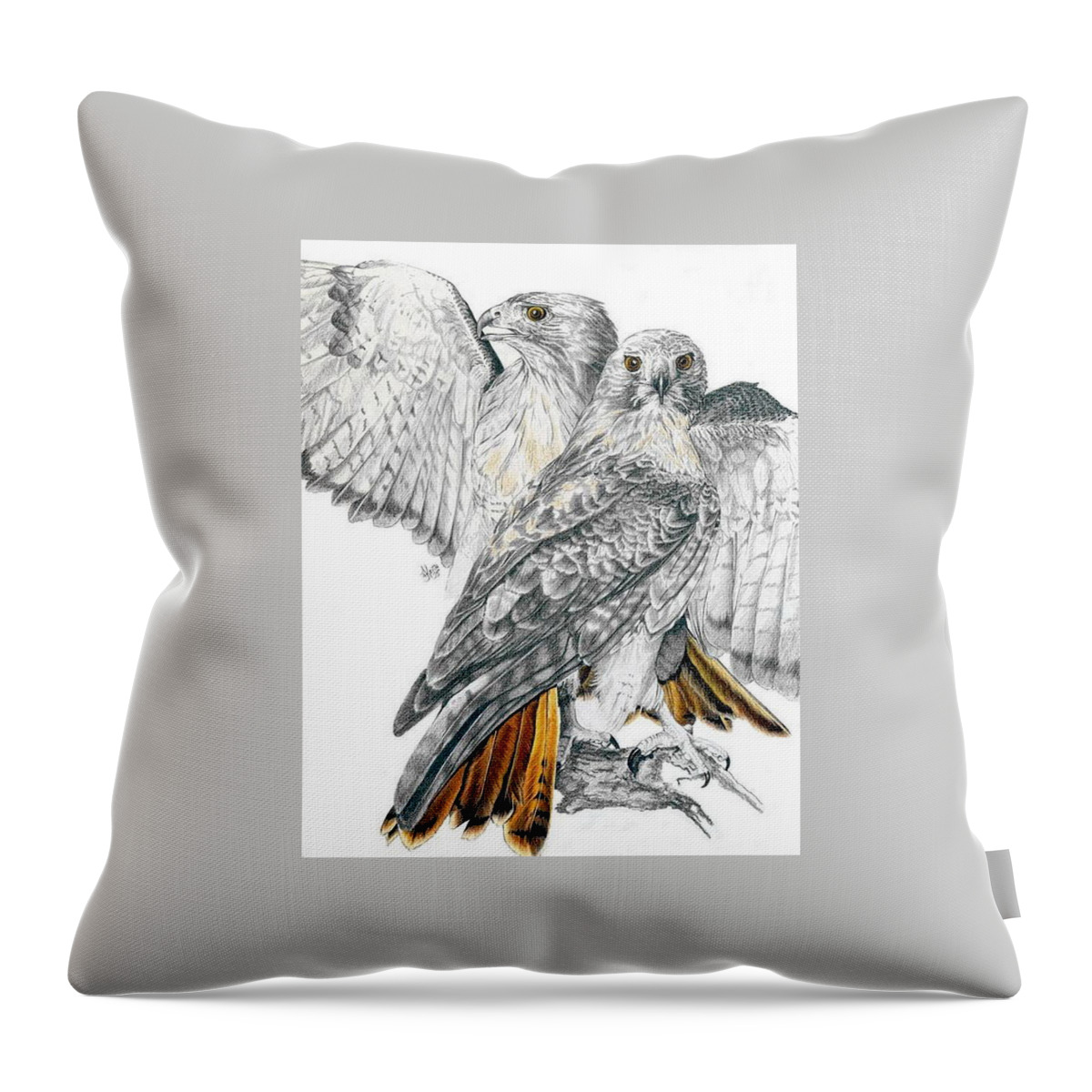 Birds Of Prey Throw Pillow featuring the mixed media Red-Tailed Hawk by Barbara Keith