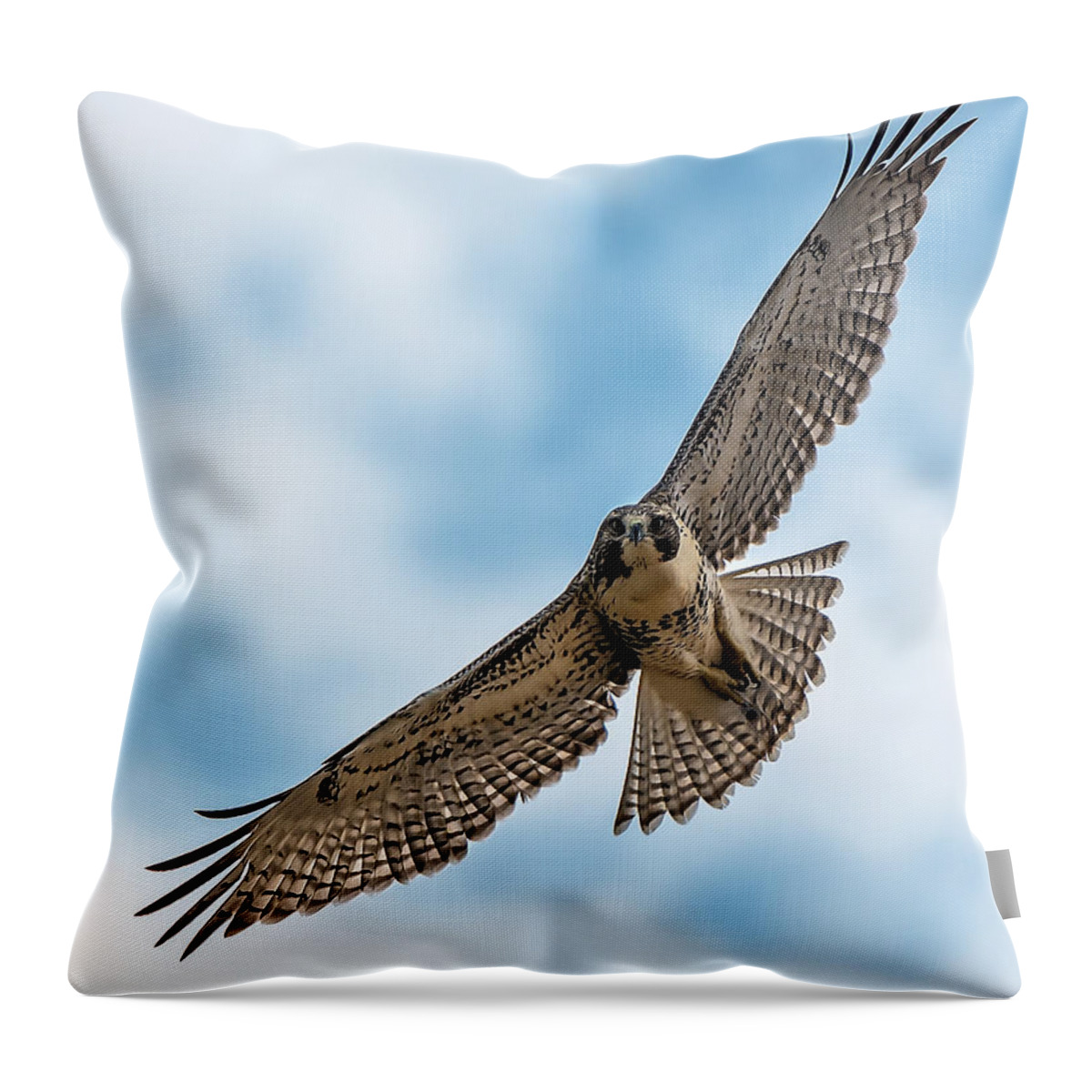 Hawk Throw Pillow featuring the photograph Red-tailed Hawk Coming At Me by Stephen Johnson