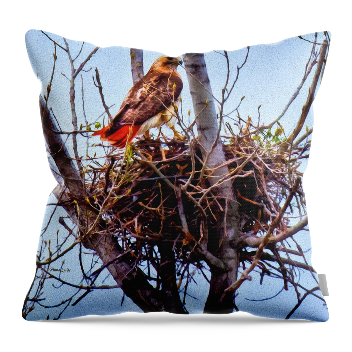 Red-tailed Hawk Throw Pillow featuring the photograph Red-tailed Hawk On Nest by Anna Louise
