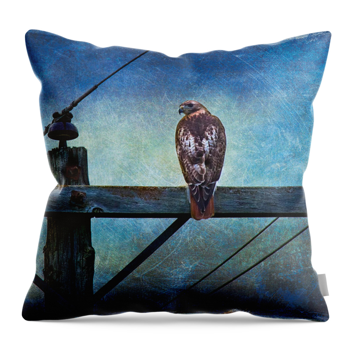 Red-tailed Hawk Throw Pillow featuring the photograph Red-tailed Hawk On Power Pole by Anna Louise