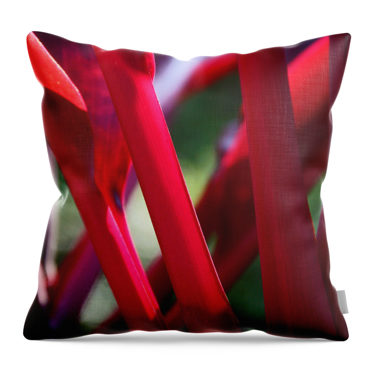 Ti Throw Pillow featuring the photograph Red Ti by Kerri Ligatich