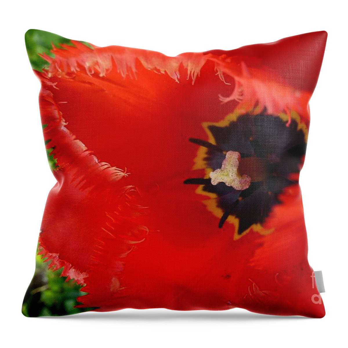 Attractive Throw Pillow featuring the photograph Red tulip by Jean Bernard Roussilhe