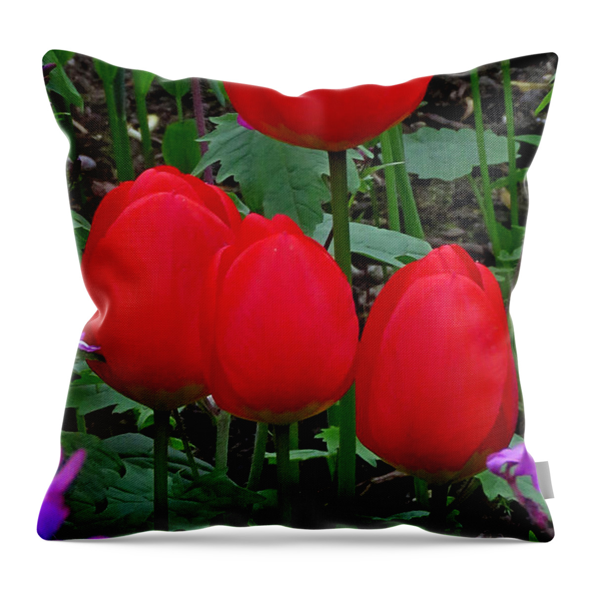 Tulips Throw Pillow featuring the photograph Red Tulips by John Topman
