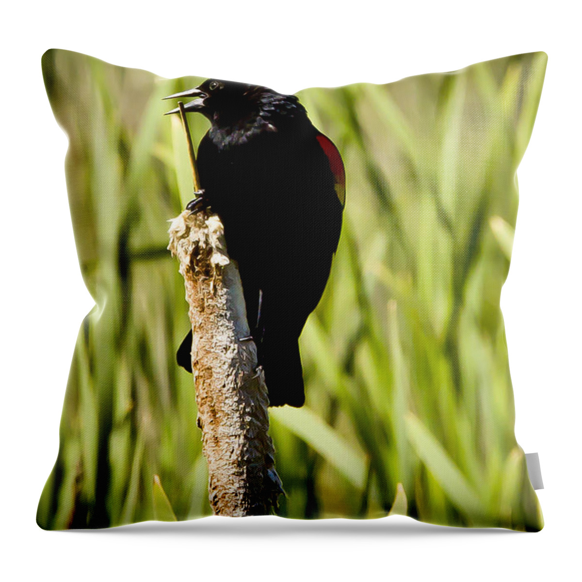Wildlife Throw Pillow featuring the photograph Red-winged Blackbird by Albert Seger