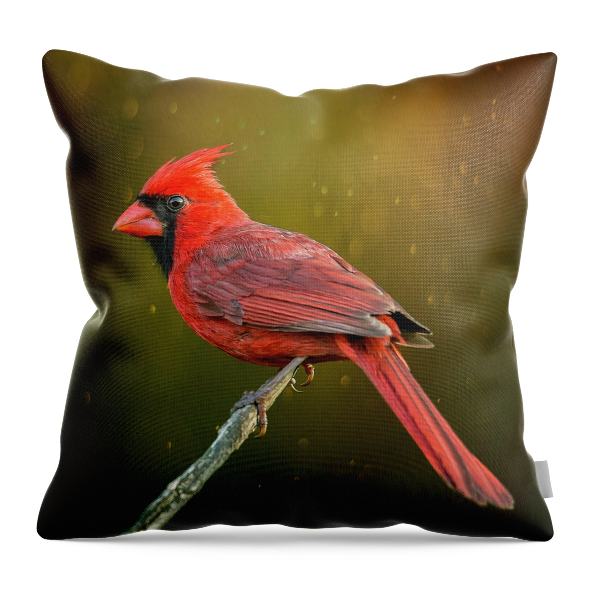 Northern Cardinal Throw Pillow featuring the photograph Redbird On A Stick by Bill and Linda Tiepelman