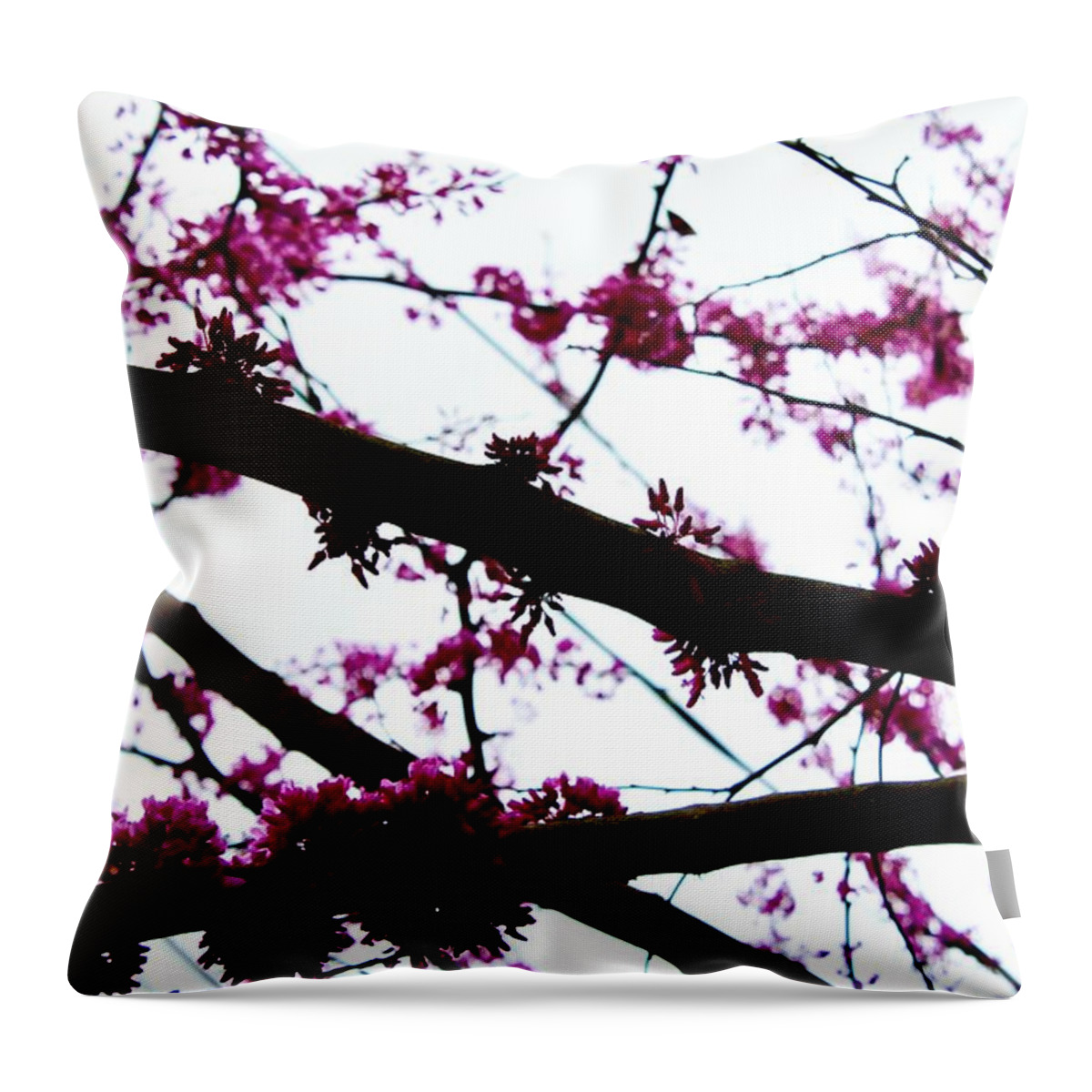 Photography Throw Pillow featuring the photograph Redbud Blooming Branches by M E