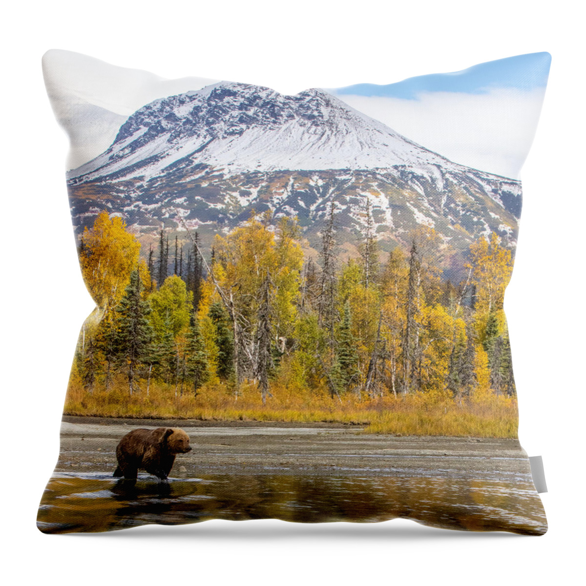 2015 Throw Pillow featuring the photograph Redoubt Reflection by Kevin Dietrich