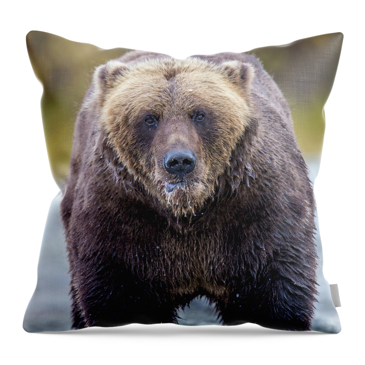 Dall Throw Pillow featuring the photograph Redoubt Shoreline by Kevin Dietrich