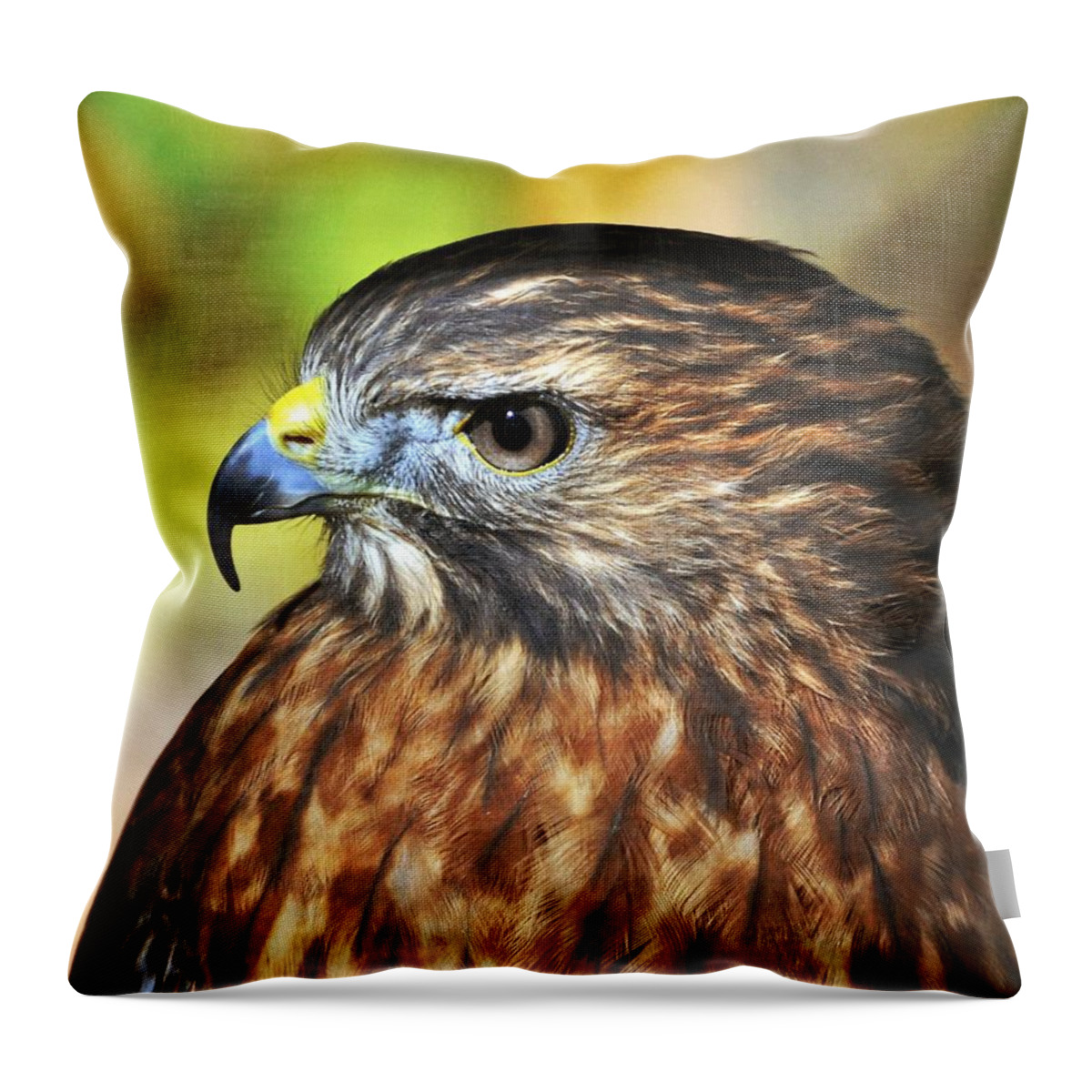 Red Tail Hawk Throw Pillow featuring the photograph Redtaila 4a by Marty Koch