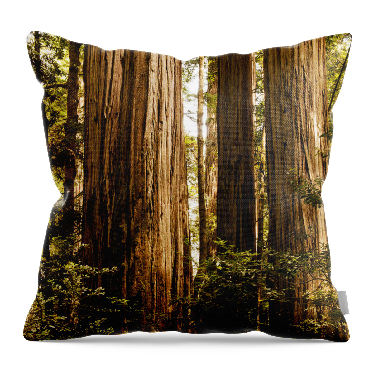 Redwoods Throw Pillow featuring the photograph Redwood Majesty by Vivian Christopher