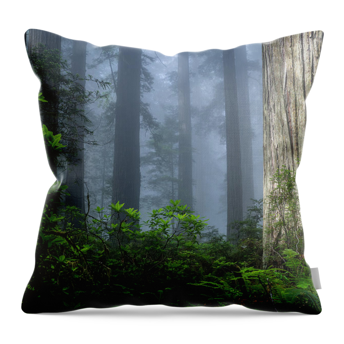 Redwoods Throw Pillow featuring the photograph Redwoods in Blue Fog by Greg Nyquist