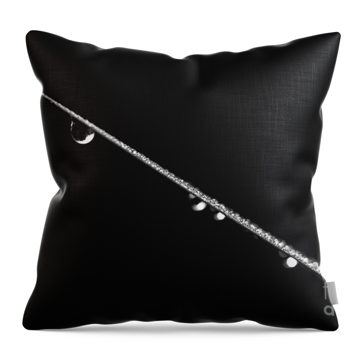 Lake Cassidy Throw Pillow featuring the photograph Reeds along Shoreline with Dew Drops by Jim Corwin