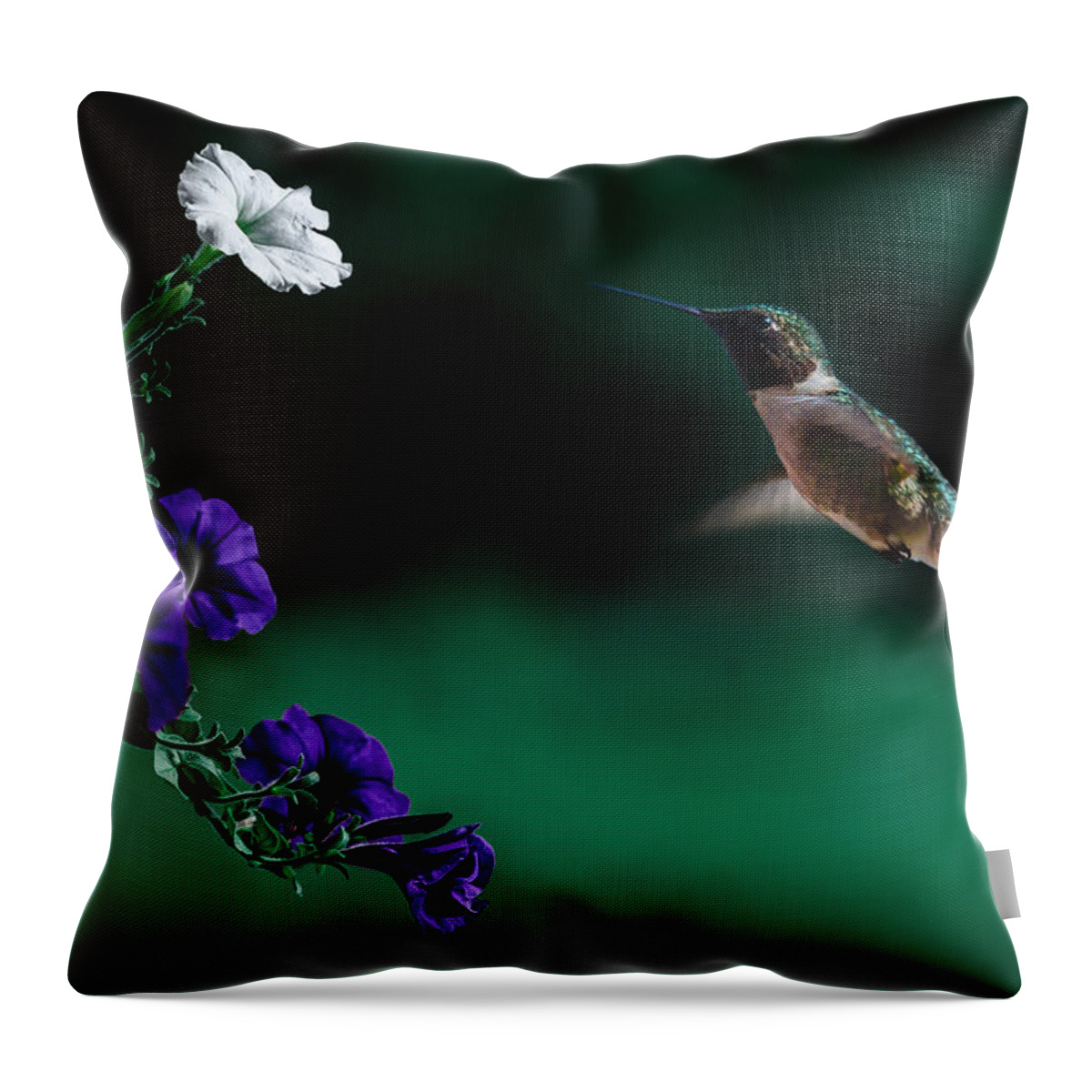 Flowers Throw Pillow featuring the photograph Refill by Rick Bartrand
