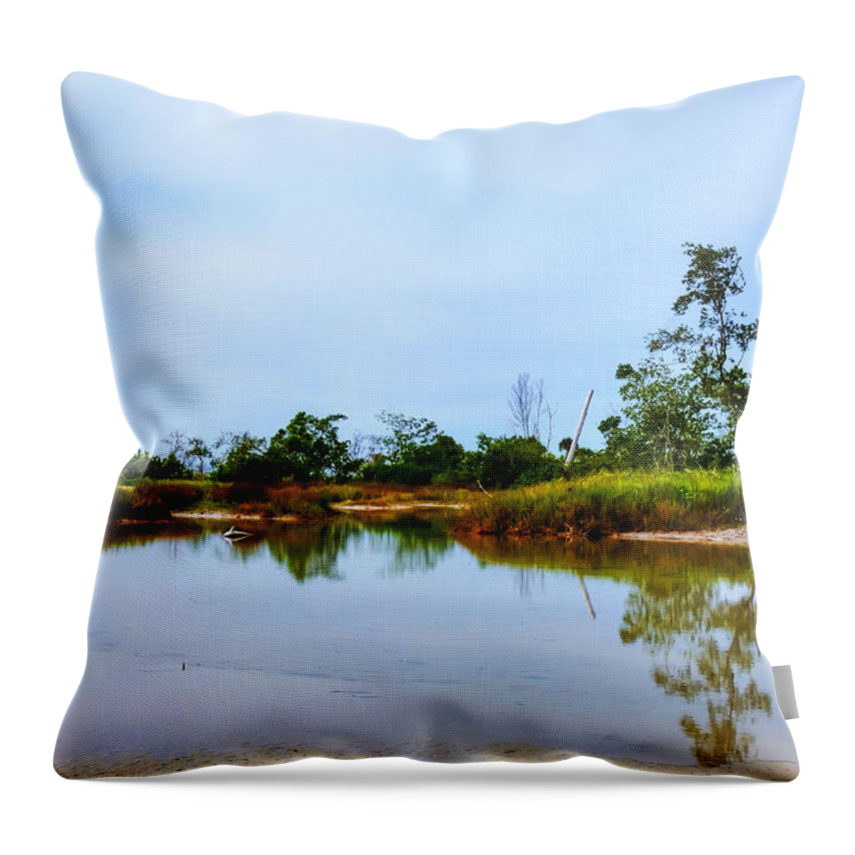Seascape Throw Pillow featuring the photograph Englewood beach by Gouzel -