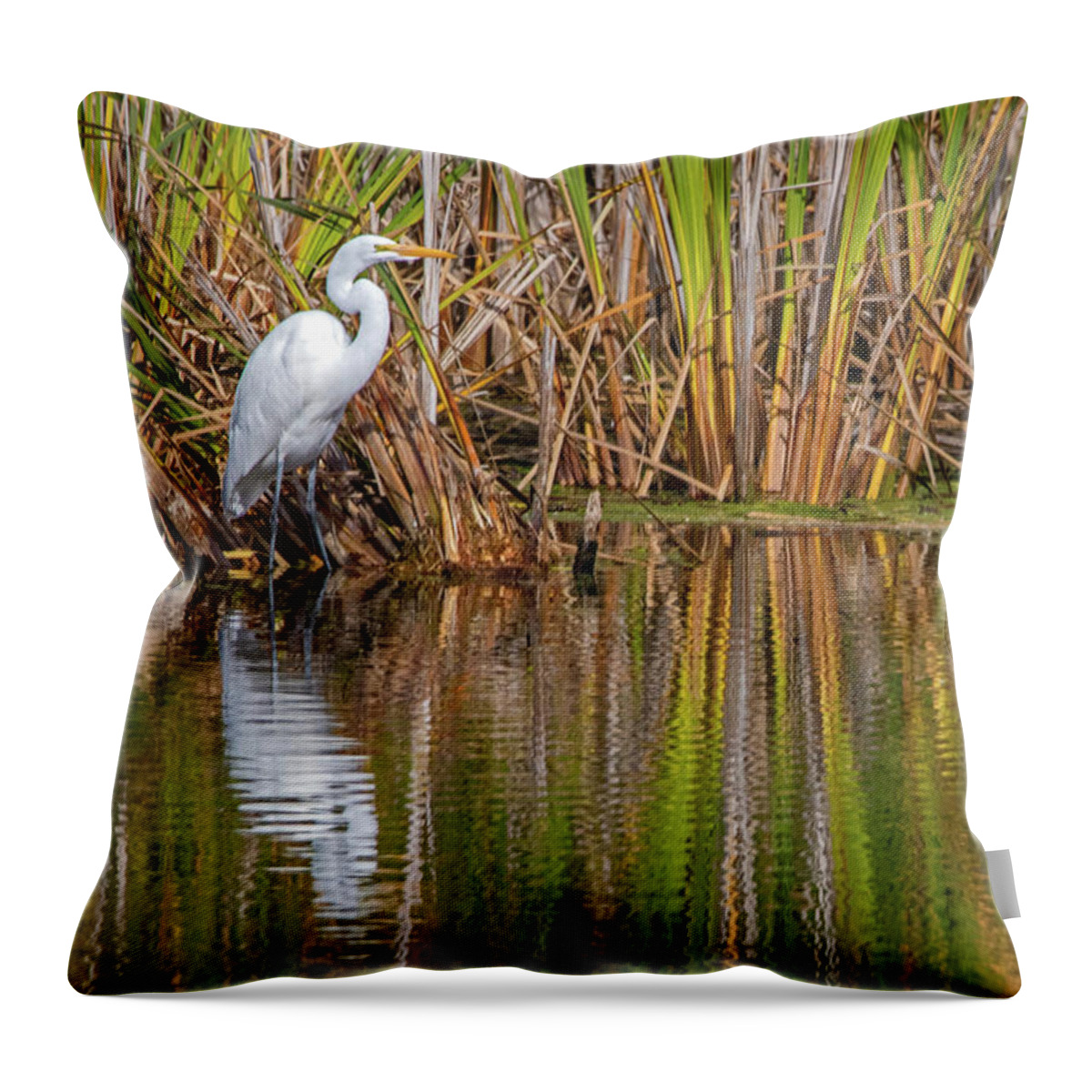 Bird Throw Pillow featuring the photograph Reflecting Great Egret by Ira Marcus
