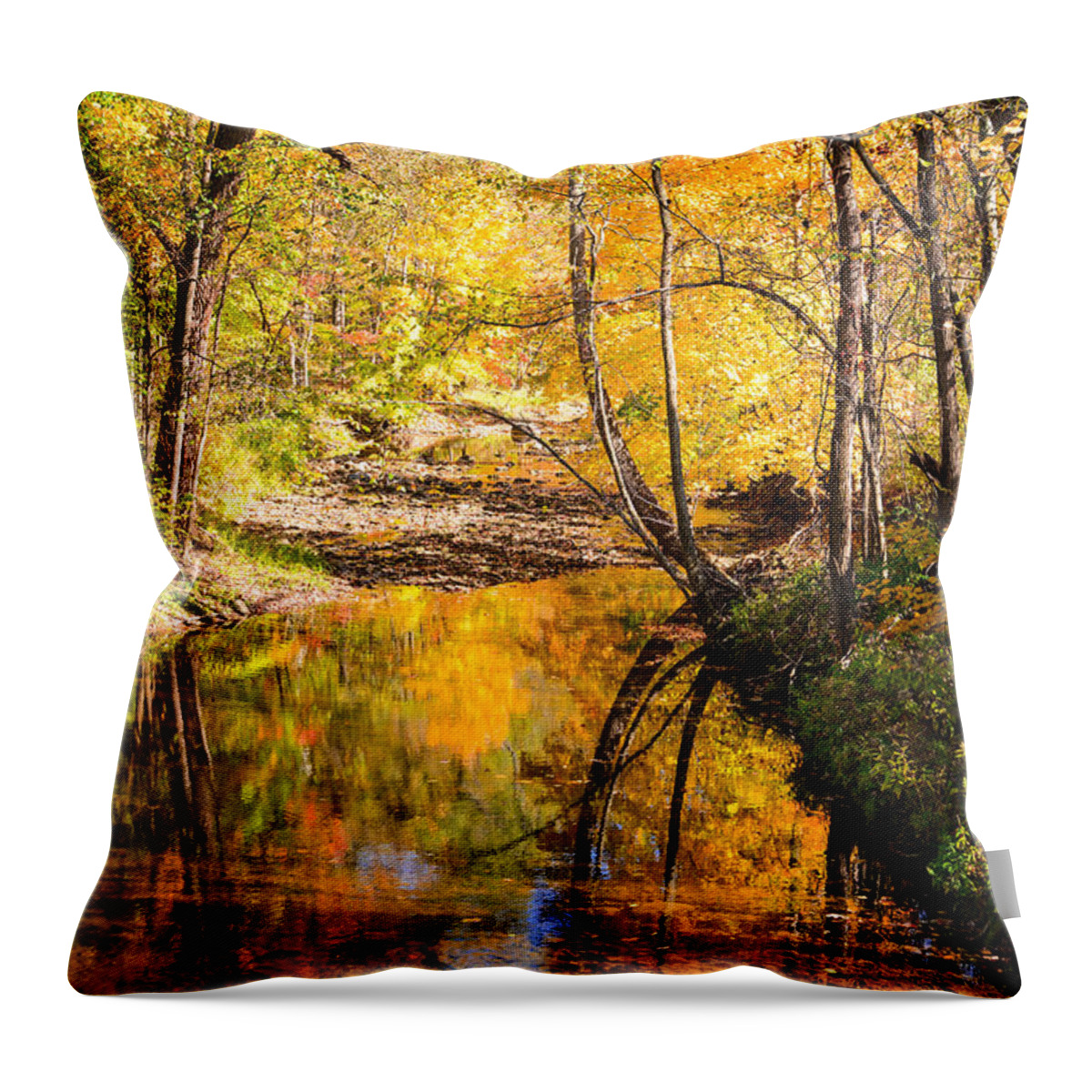 Reflections Of Fall Colors Throw Pillow featuring the photograph Reflecting Fall by Mary Timman