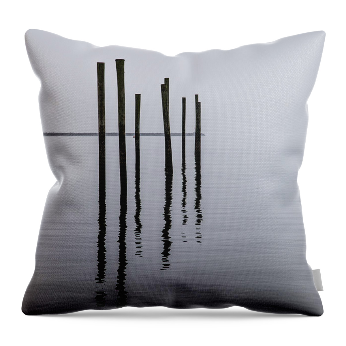 Landscape Throw Pillow featuring the photograph Reflecting Poles by Karol Livote