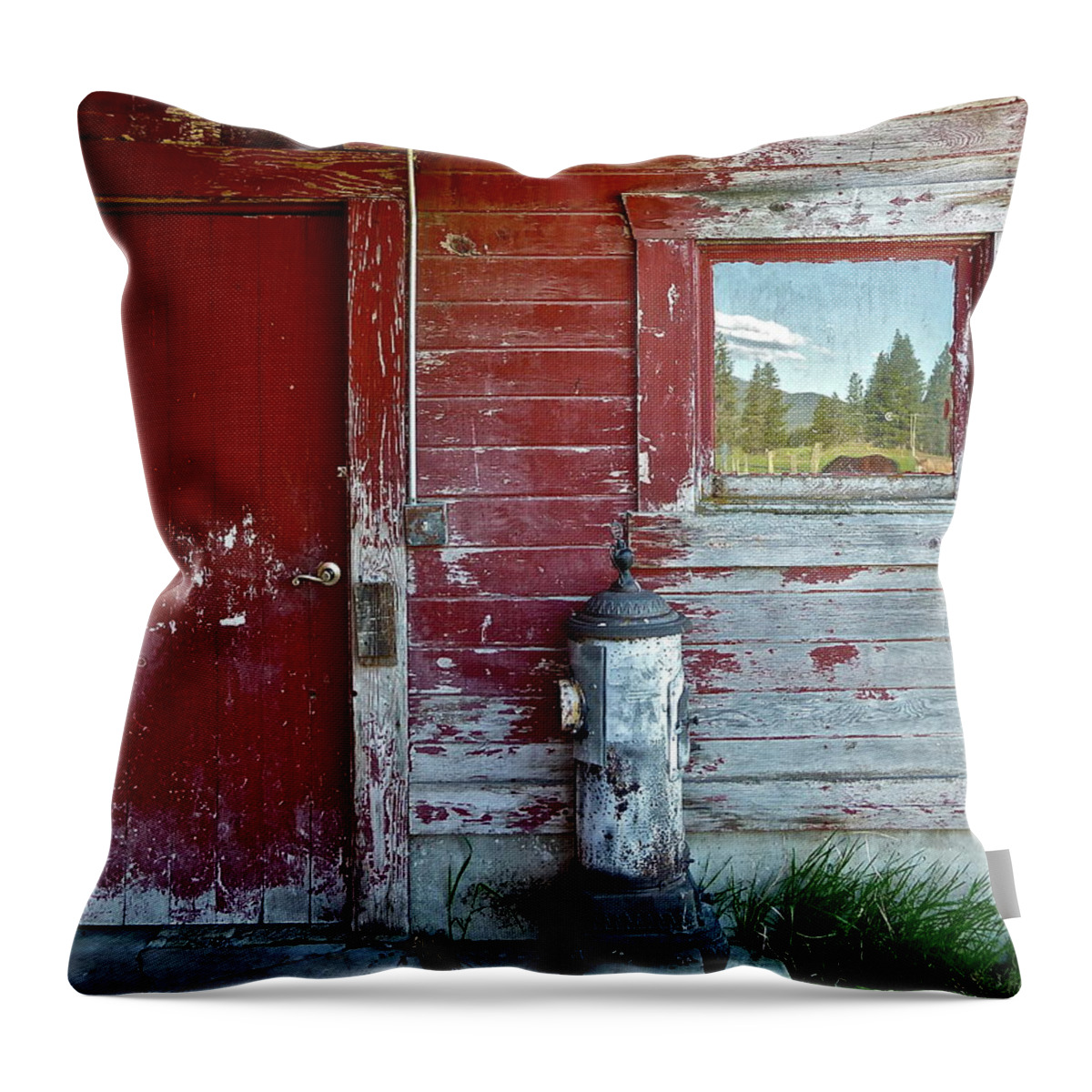 Barn Throw Pillow featuring the photograph Reflecting The Landscape by Diana Hatcher