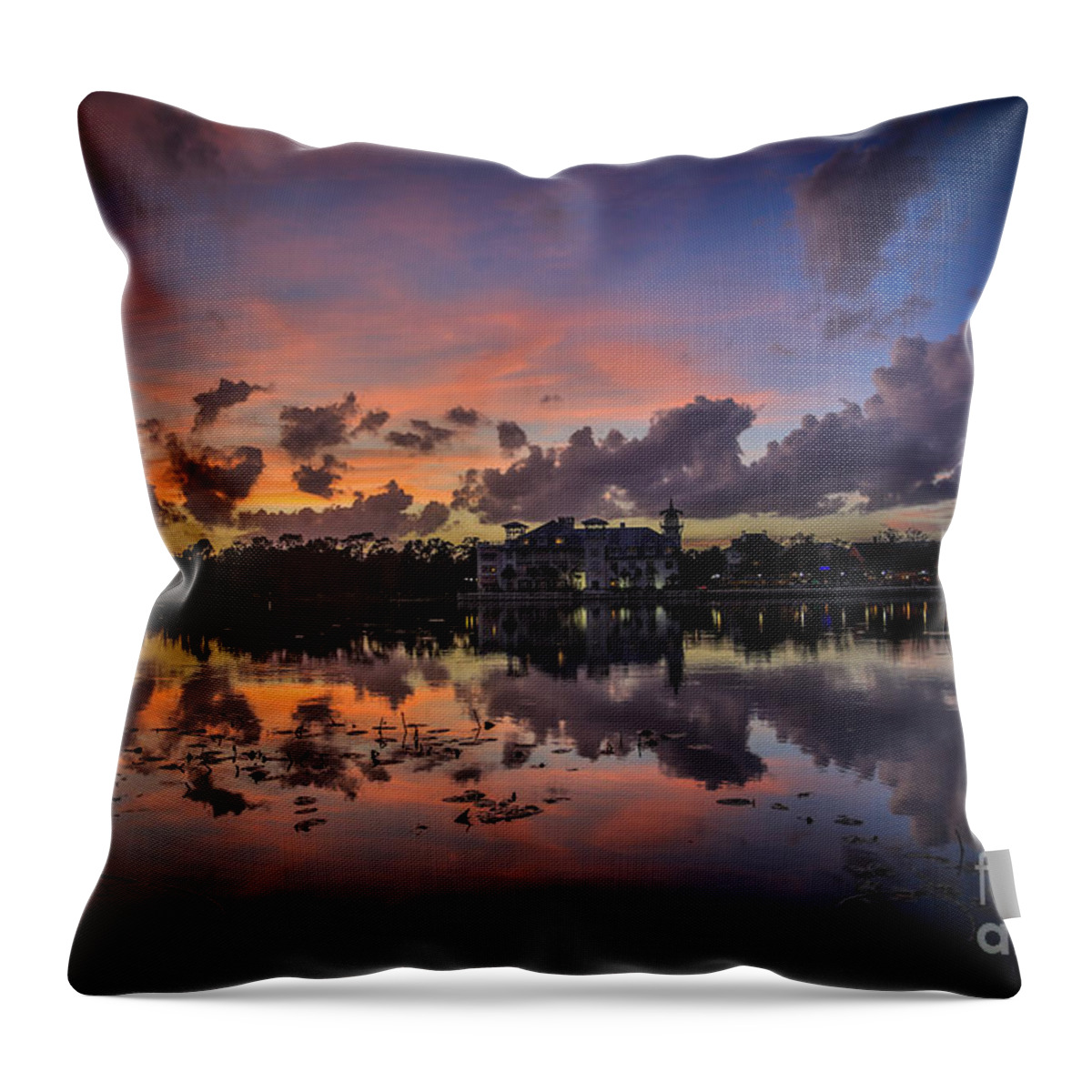 Celebration Throw Pillow featuring the photograph Reflection 8 by Mina Isaac