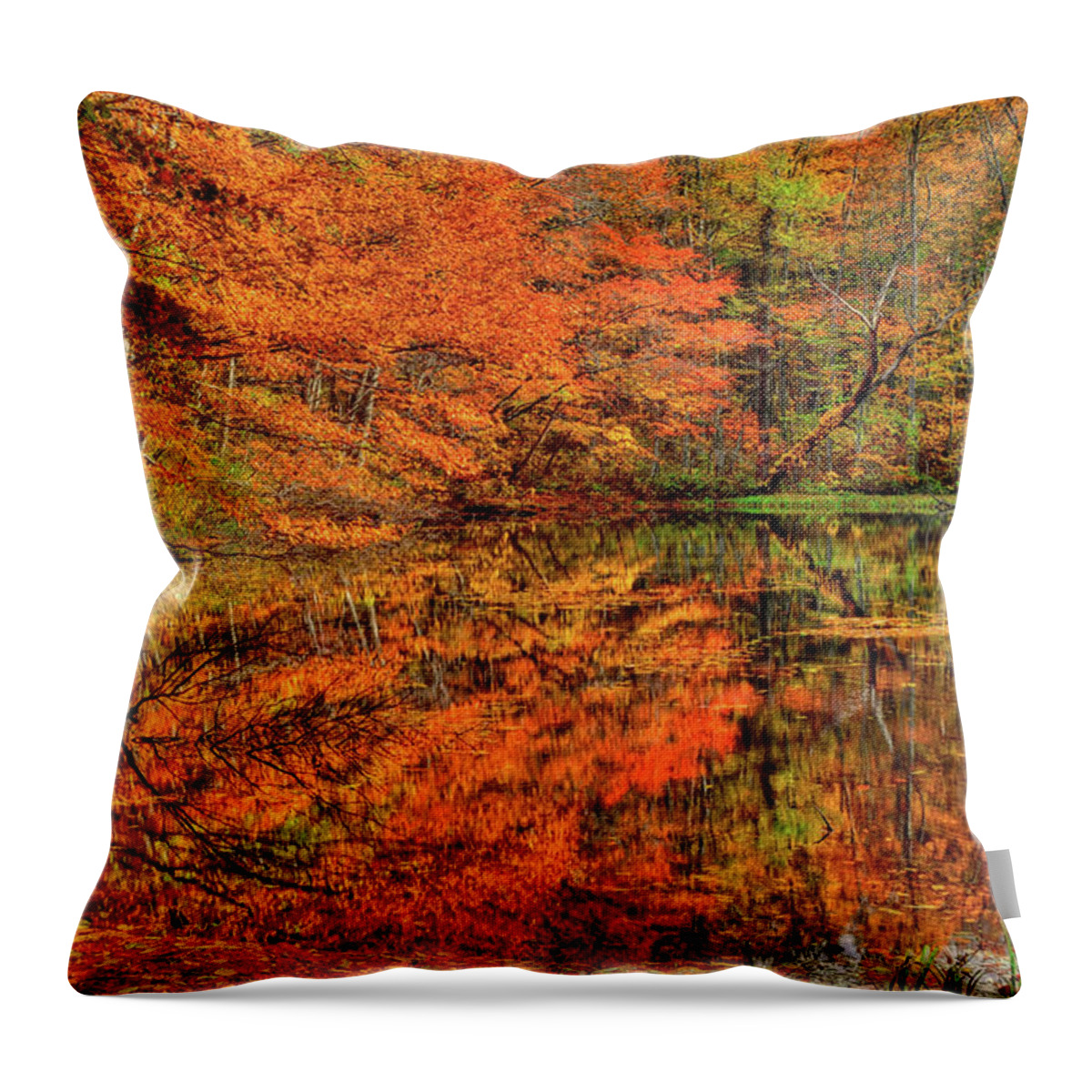 Autumn Throw Pillow featuring the photograph Reflection of Autumn by Midori Chan