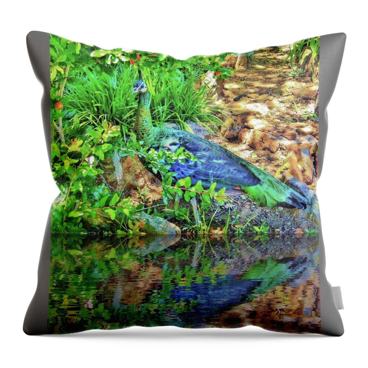 Peahen Throw Pillow featuring the photograph Reflection of Beauty by Doris Aguirre