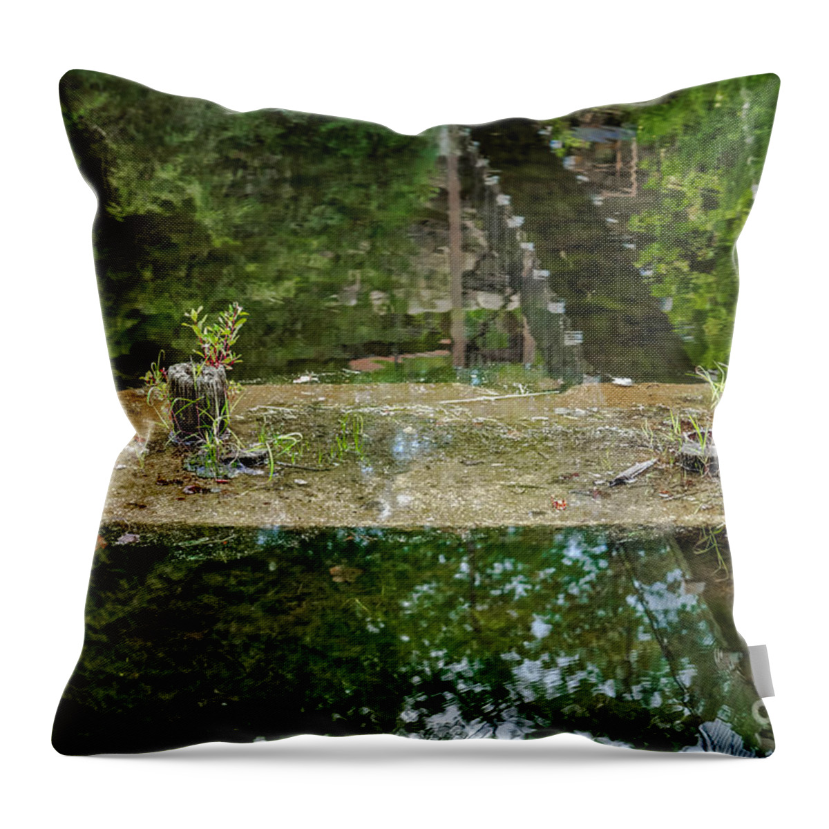 Reflection Throw Pillow featuring the photograph Reflection Of The Past by Paul Mashburn