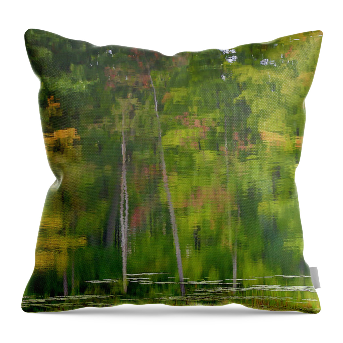 Gary Hall Throw Pillow featuring the photograph Reflection on Muskrat Pond by Gary Hall