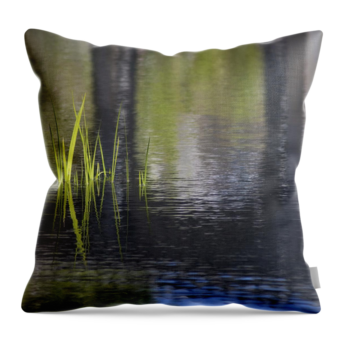 Spring Throw Pillow featuring the photograph Reflections Accents by Morris McClung
