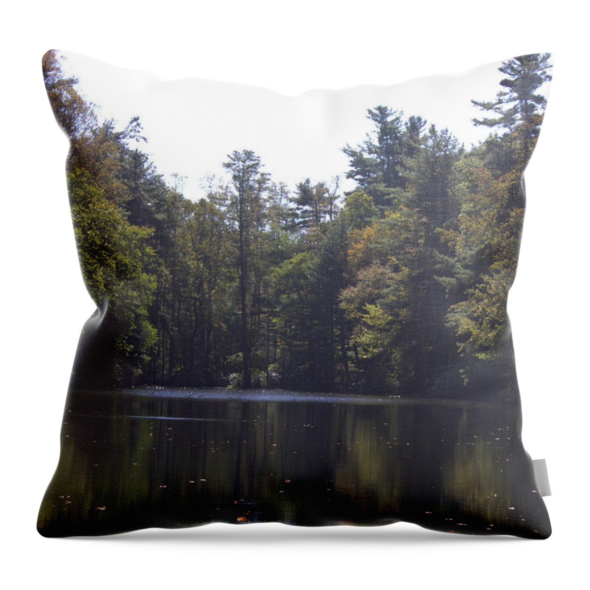 Lake Throw Pillow featuring the photograph Reflections by Ali Baucom