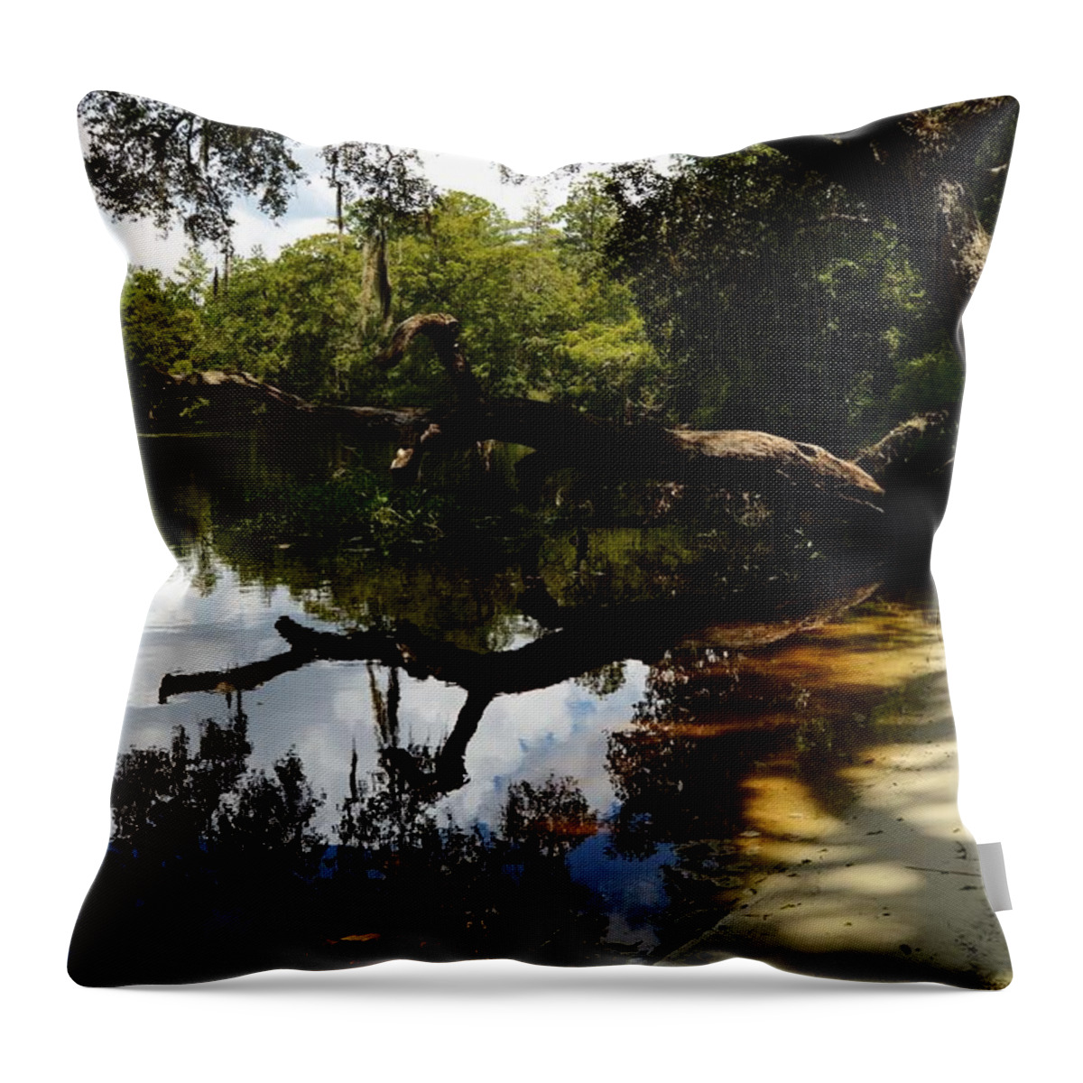Reflections And Shadows Throw Pillow featuring the photograph Reflections and Shadows by Warren Thompson