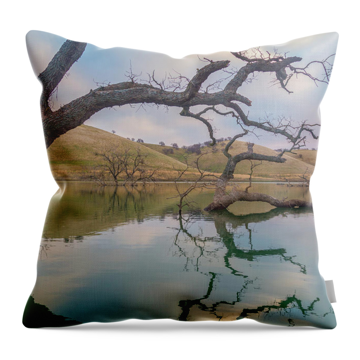 Landscape Throw Pillow featuring the photograph Reflections at Los Vaqueros by Marc Crumpler