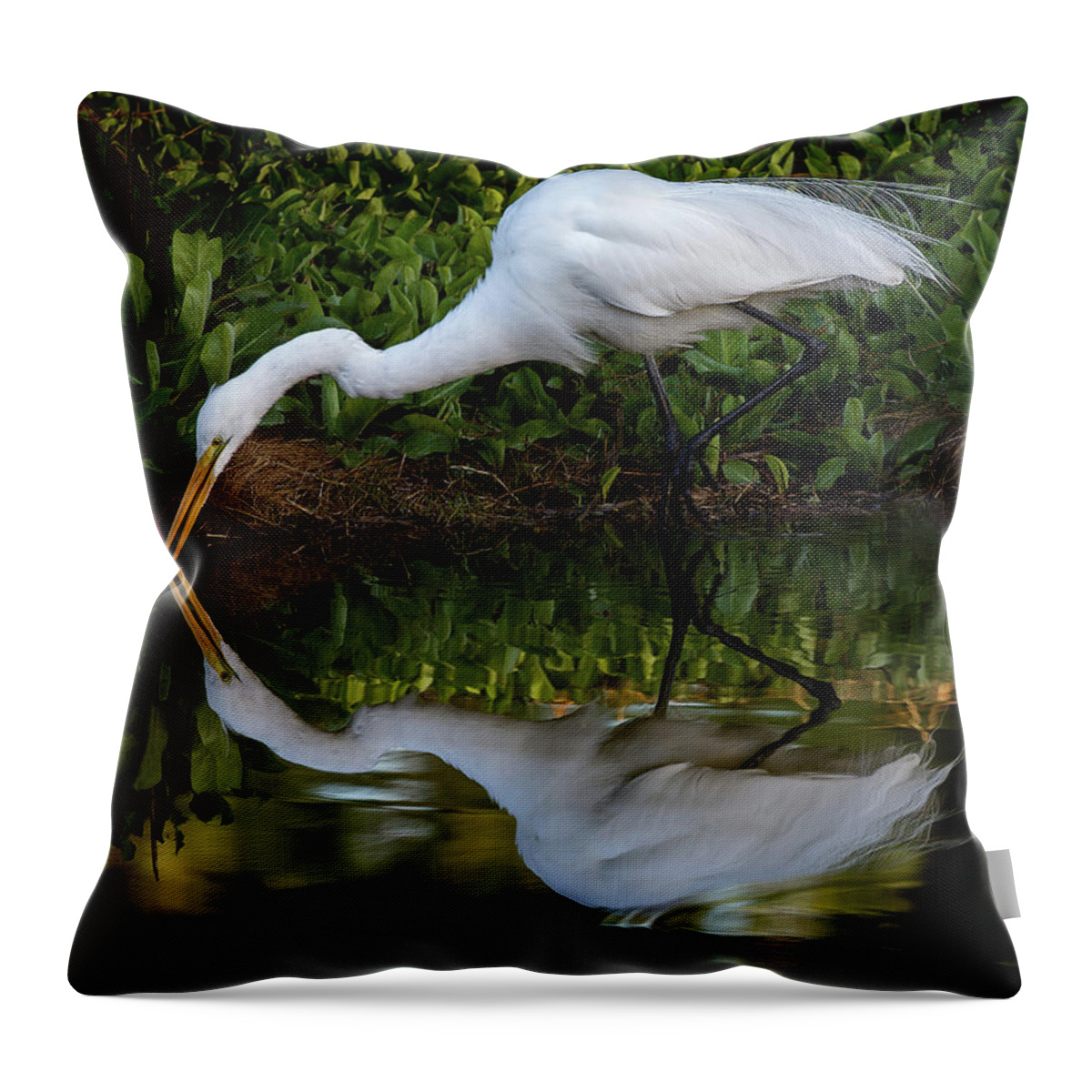 Bird Throw Pillow featuring the photograph Reflections by Bruce Bonnett