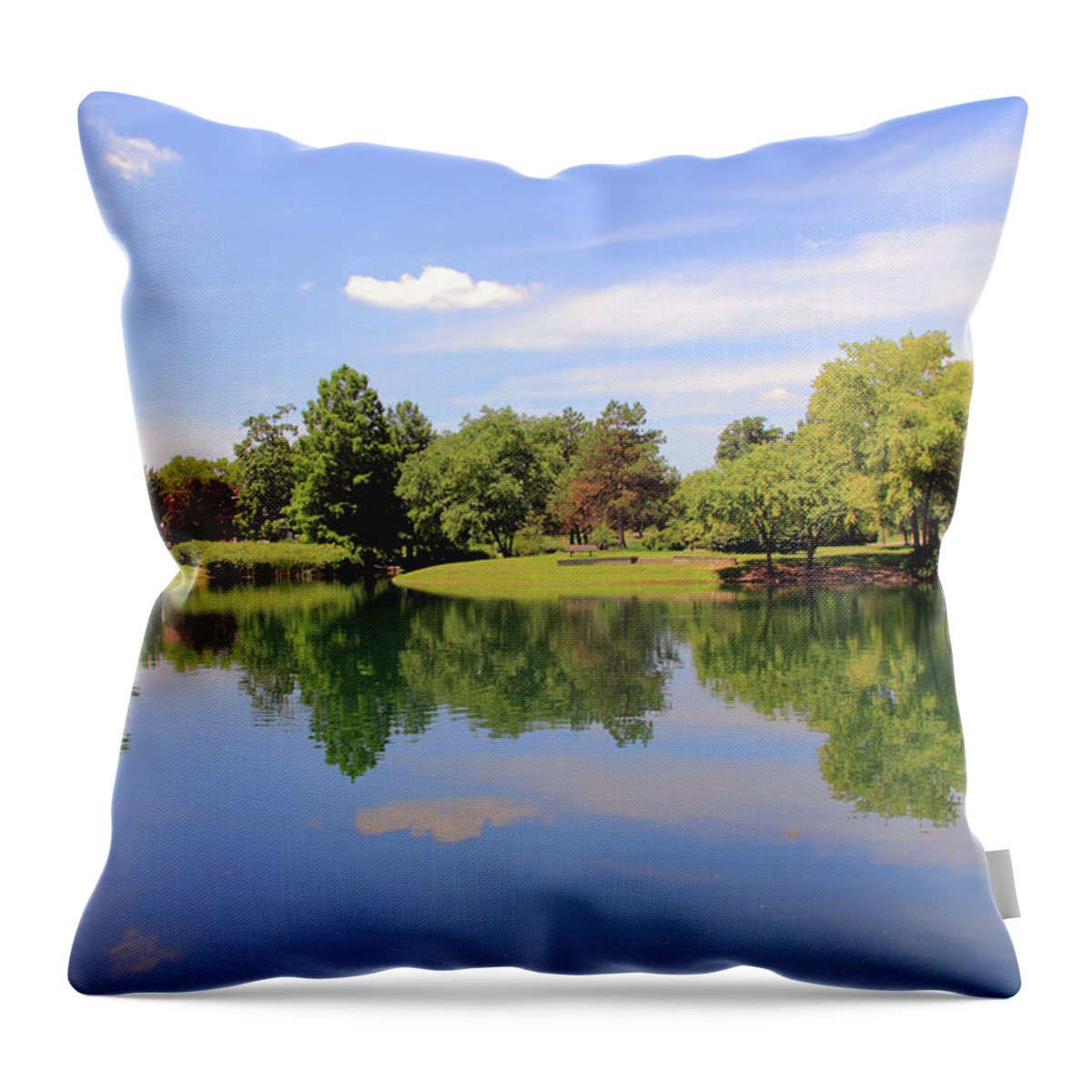 Pond Throw Pillow featuring the photograph Reflections in a Pond by Angela Murdock
