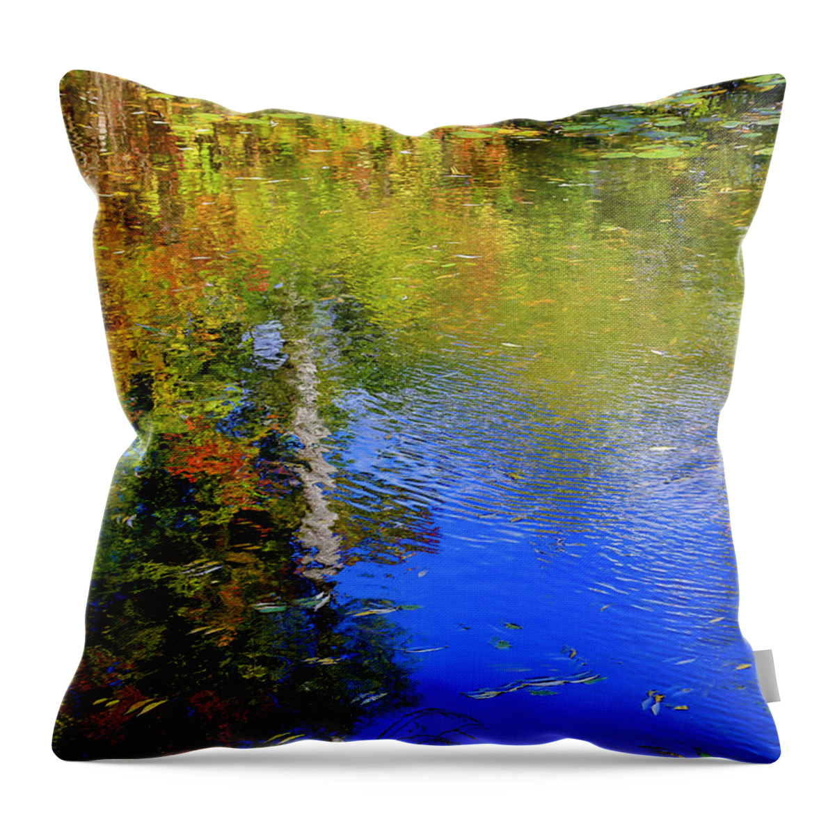 Gary Hall Throw Pillow featuring the photograph Reflections in a Pond by Gary Hall