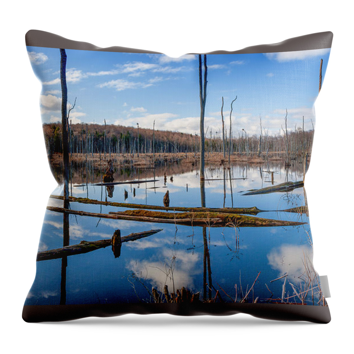 Swamps Throw Pillow featuring the photograph Reflections of a Swamp by Rod Best