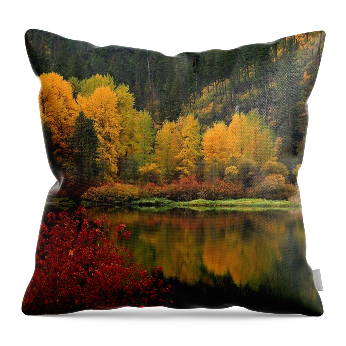 Reflection Of Fall Beauty 2 Throw Pillow featuring the photograph Reflections of fall beauty 2 by Lynn Hopwood