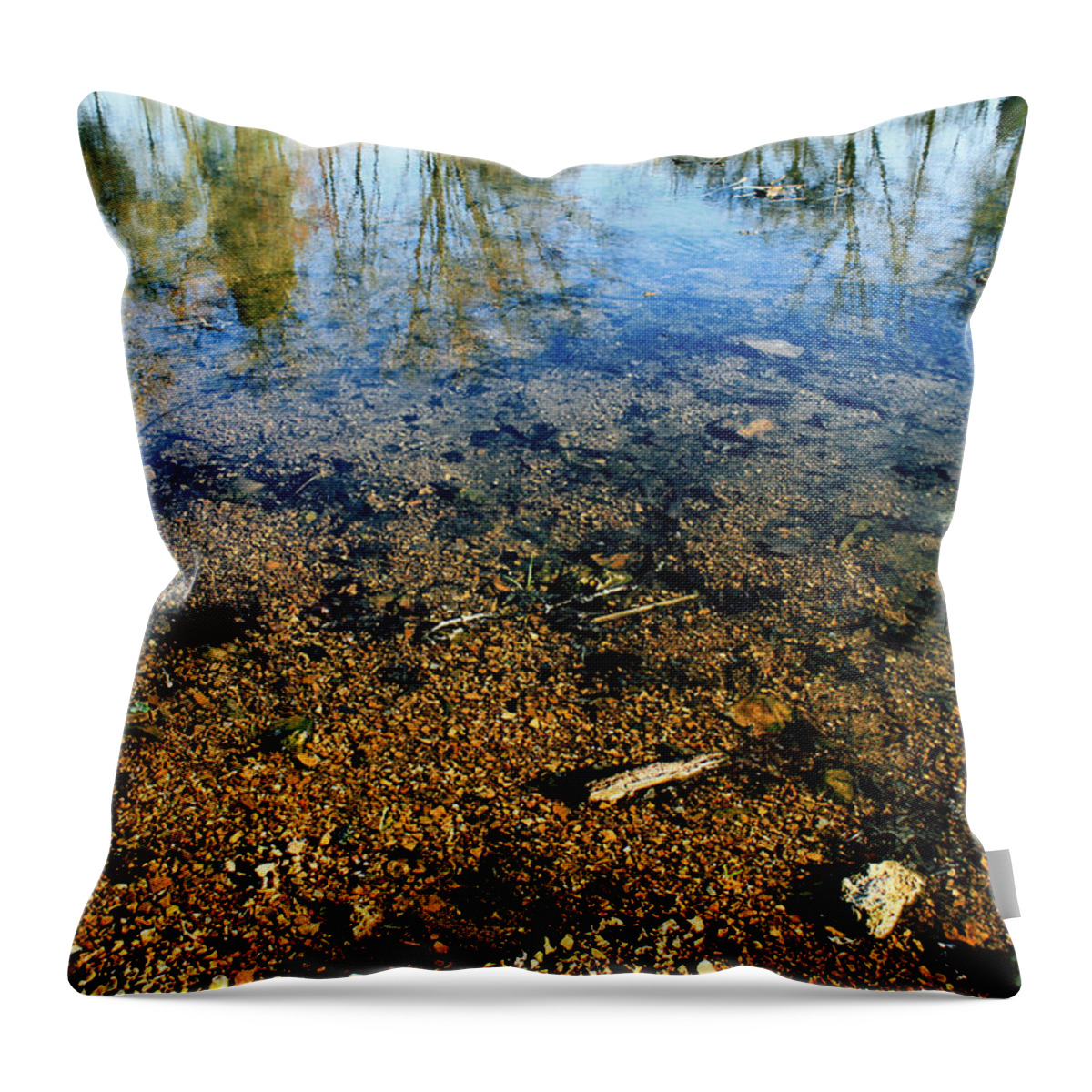 Landscape Throw Pillow featuring the photograph Reflections of Nature by Todd Blanchard