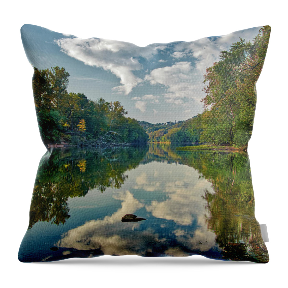 Missouri Throw Pillow featuring the photograph Reflections on the Meramec by Harold Rau