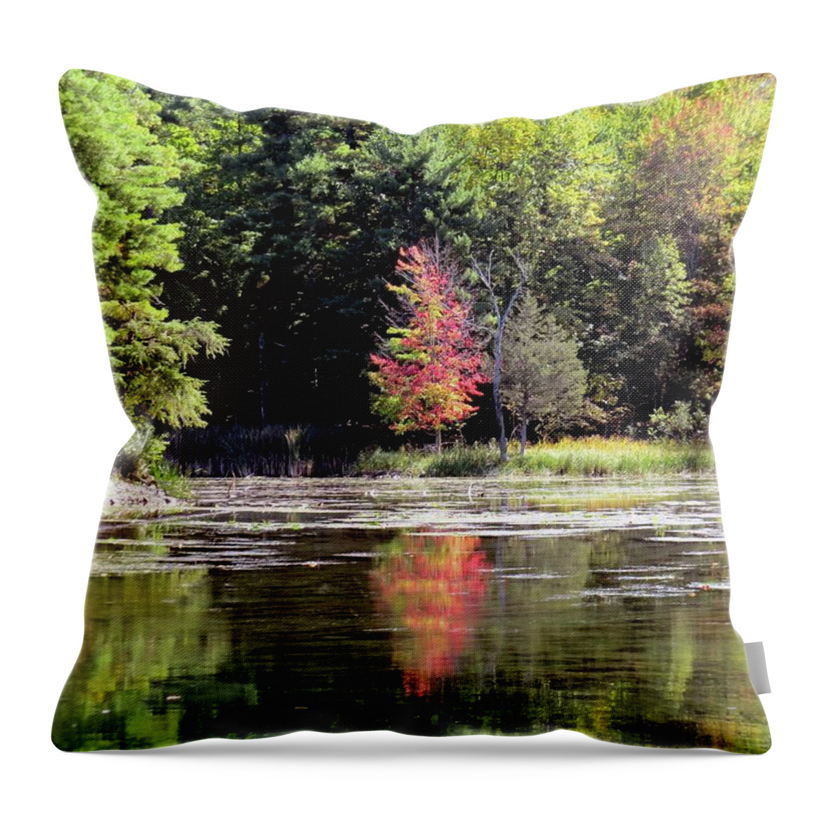 1000 Islands Throw Pillow featuring the photograph Reflections on the Rift by Dennis McCarthy