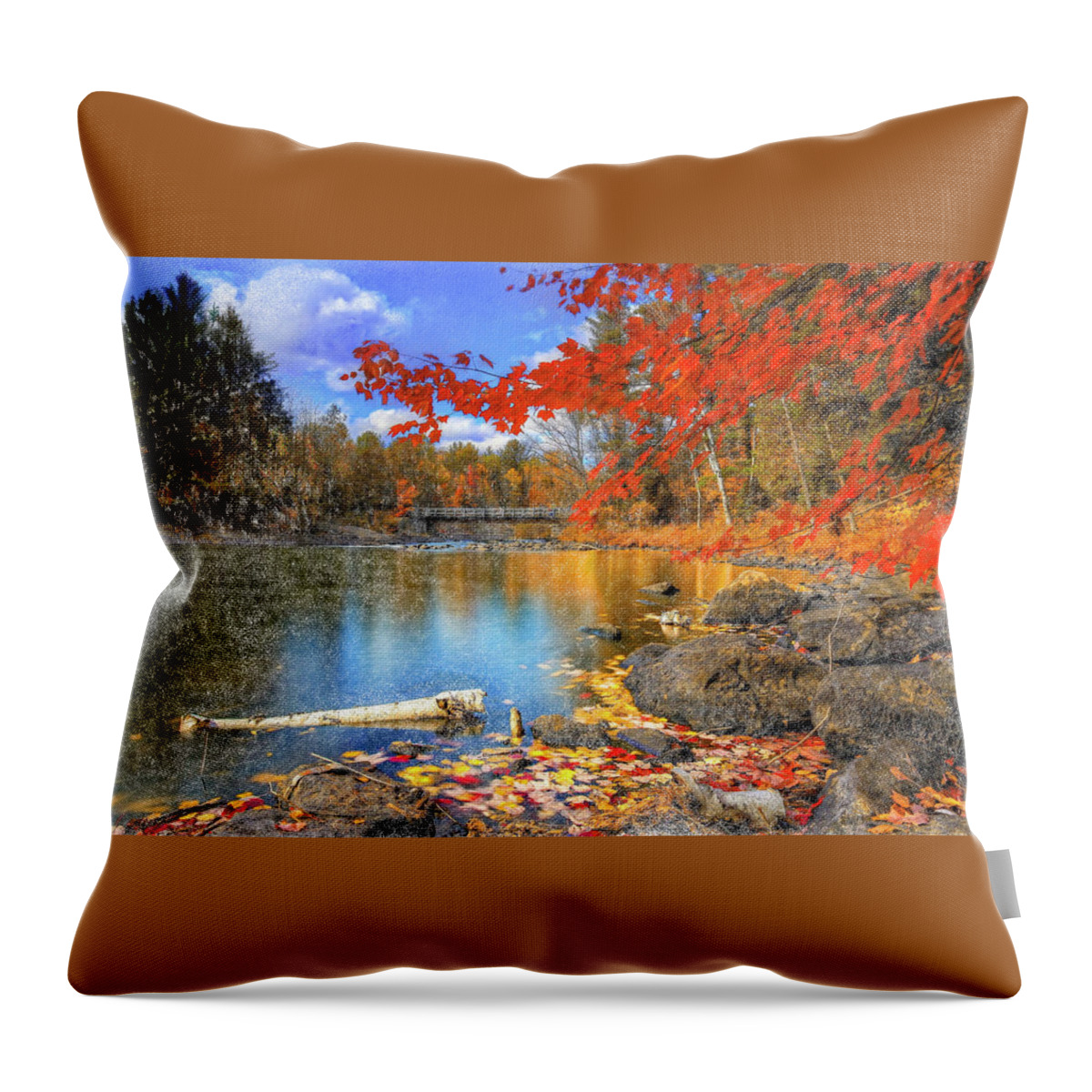 River Throw Pillow featuring the digital art Reflections by Renee Skiba