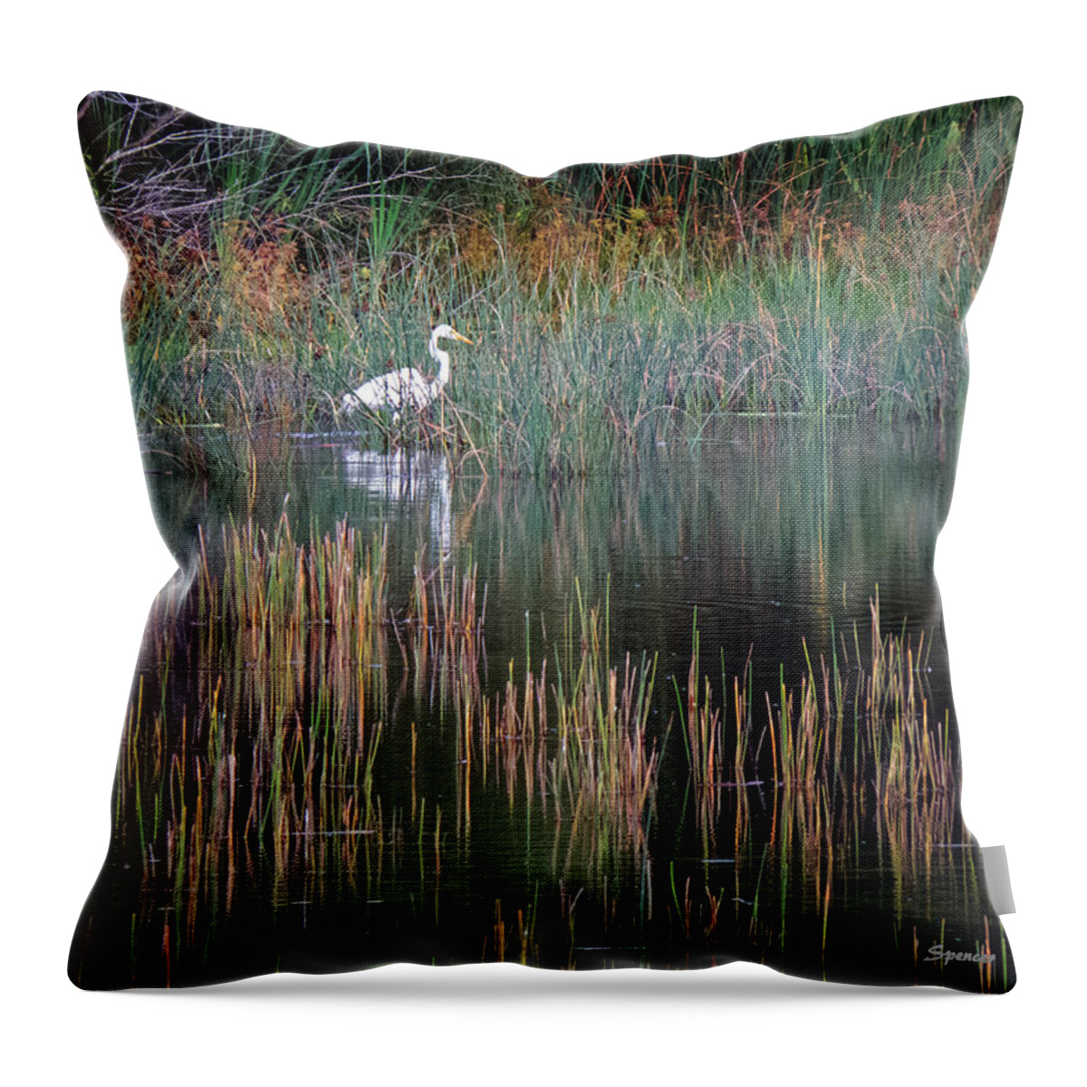 Wetlands Throw Pillow featuring the photograph Reflections by T Guy Spencer