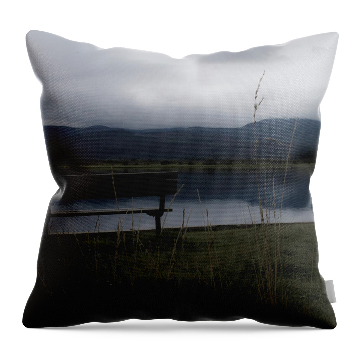 River Throw Pillow featuring the photograph Reflective Solitude by Joseph Noonan